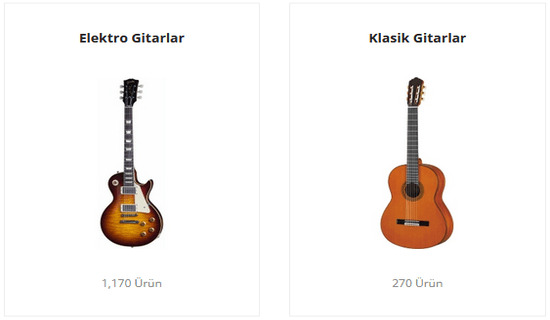 Doremusic Gitarlar